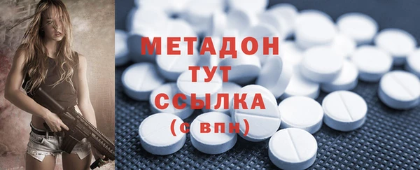 прущие грибы Аркадак