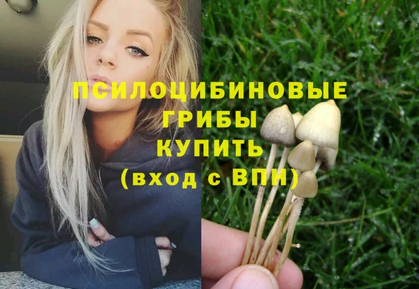 прущие грибы Аркадак