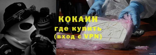 шишки Армянск