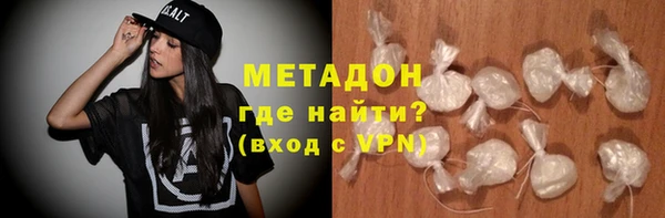 прущие грибы Аркадак