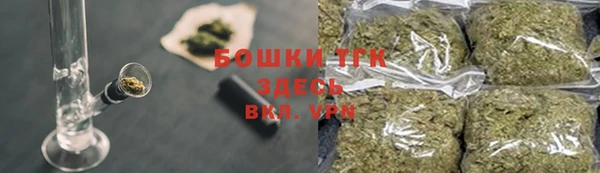 шишки Армянск
