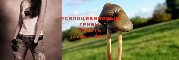 шишки Армянск