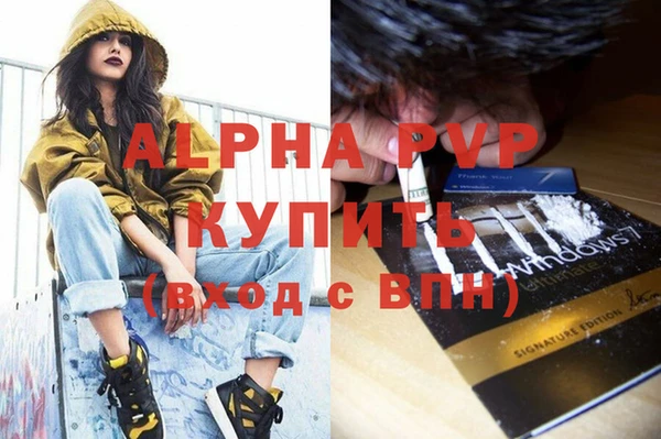 прущие грибы Аркадак