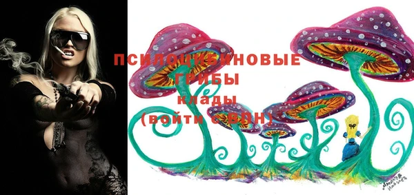 прущие грибы Аркадак