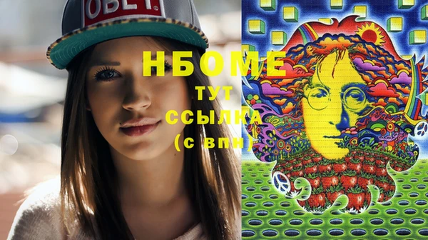 прущие грибы Аркадак