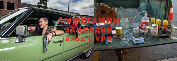 прущие грибы Аркадак