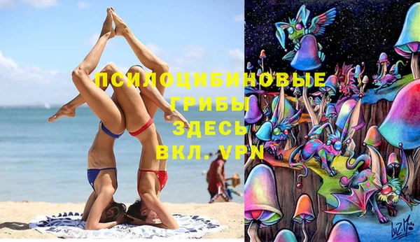 прущие грибы Аркадак